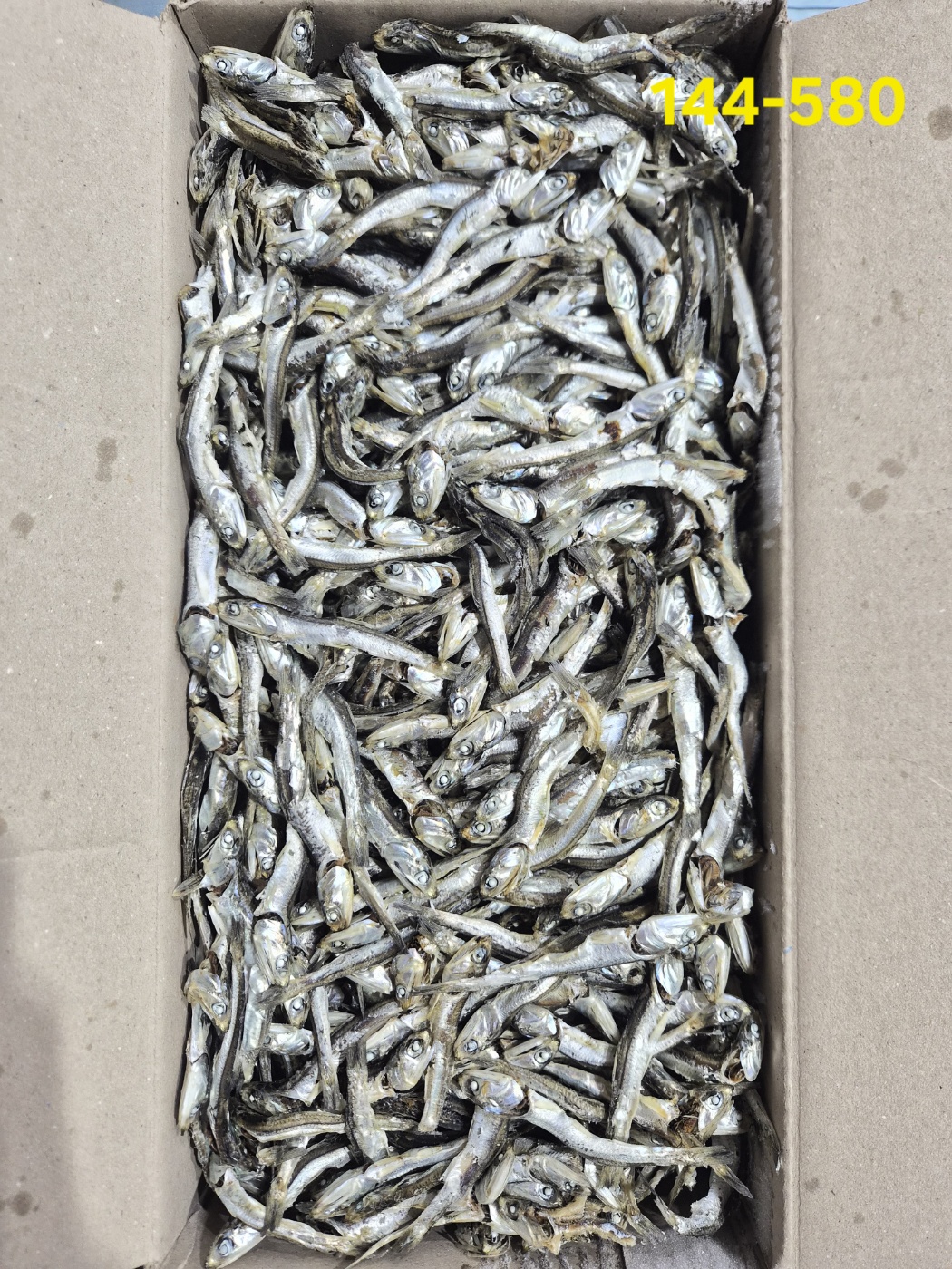 햇멸치 햇주바 중 1.5kg 144-580